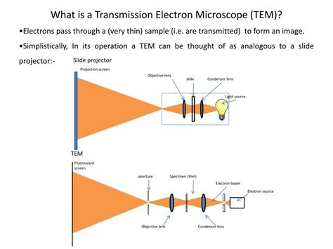 Ppt Transmission Electron Microscopy Powerpoint Presentation Free