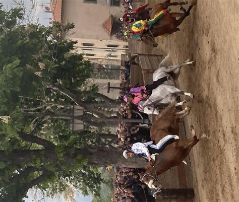 Palio oggi è il gran giorno della corsa