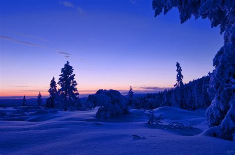 forest, Winter, Snow, Norway, Trees Wallpapers HD / Desktop and Mobile ...