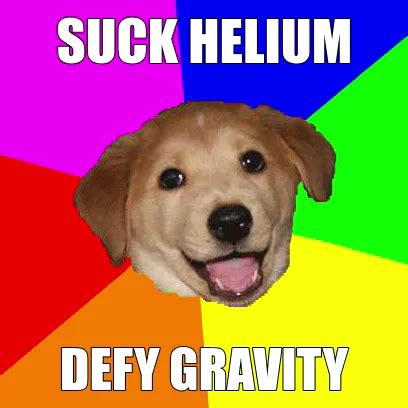 dog   dinosaur mask meme kapwing