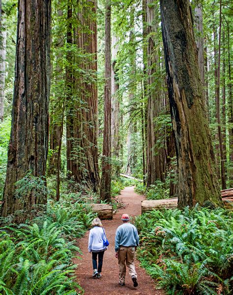 There Are 9 National Parks In California—heres Whats Special About