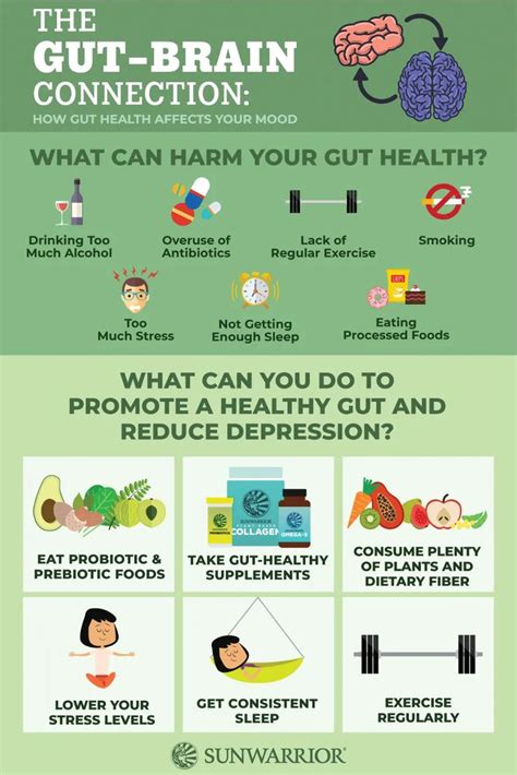 The Gut Brain Connection How Gut Health Affects Your Mood Gut Health