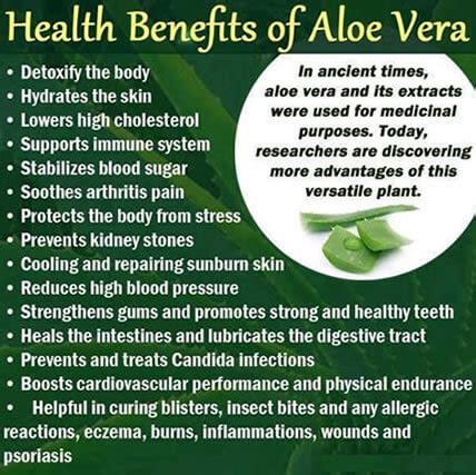 Healthy Benefits and Uses of Aloe Vera - Healthy Tips