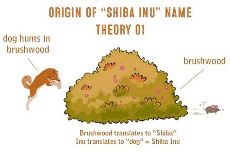 Shiba Inu History And Origins Shiba Inu Shiba Inu