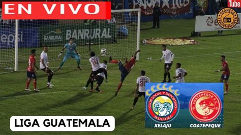 Xelaju Vs Coatepeque En Vivo Por Granega Costa Rica Clausura