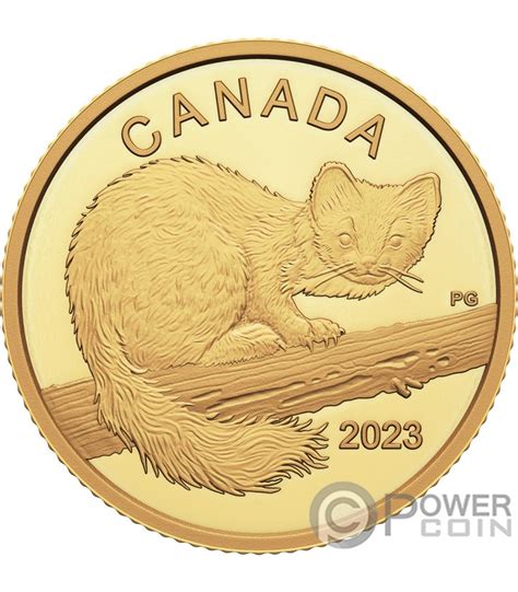 CURIOS MARTEN Gold Coin 10$ Canada 2023