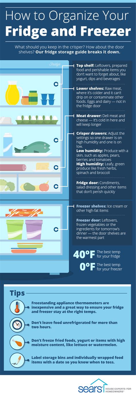 Food Storage Guide How To Organise Your Fridge And Freezer Plyvine