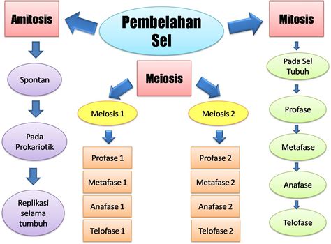 BIONCE Bab 4 Pembelahan Sel