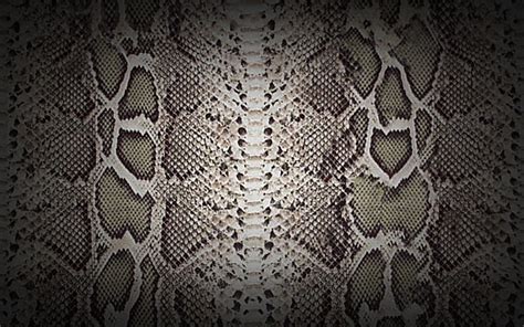 Snake Skin Wallpapers ~ Desktop Wallpaper