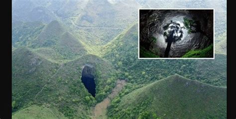 China Se Descubri Un Enorme Bosque Dentro De Una Cueva De Metros