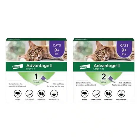 Best Flea Prevention For Cats: Top Products For A Flea-Free Feline | Alpha Paw