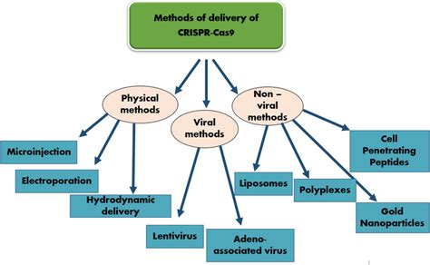 Some common CRISPR-Cas9 delivery strategies | Download Scientific Diagram