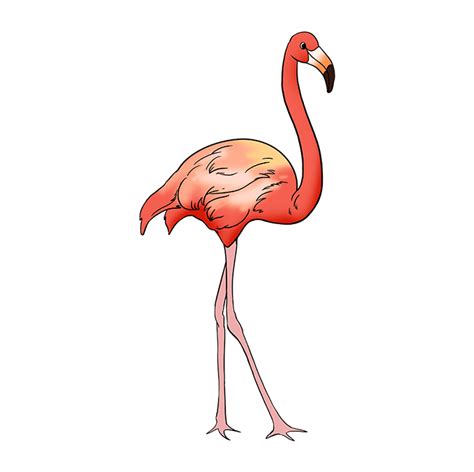 How To Draw A Flamingo Really Easy Drawing Tutorial