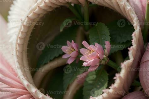 Blossoming Beauty Capturing The Vibrant Colors Of Fresh Spring Buds Ai