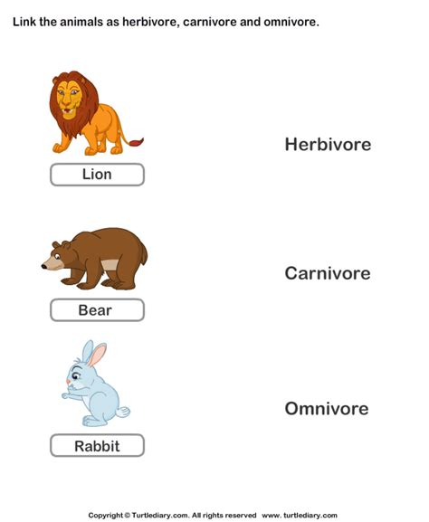 Examples Of Carnivores Herbivores And Omnivores