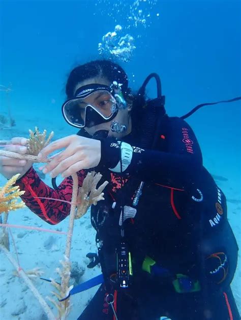 FOTO Pertamina Peduli Pelestarian Terumbu Karang Di Kepulauan Togean