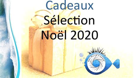 8 Idées cadeaux de Noël 2020 Mr Recif Captif 322 YouTube