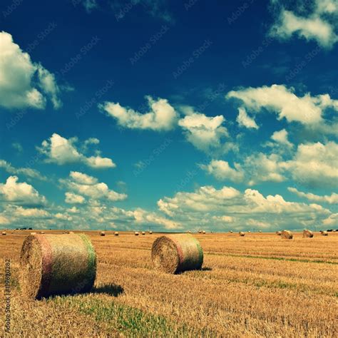 Hay Field Background