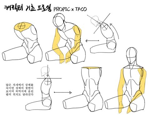 타코작가 Taco1704 On X 드로잉 강좌 해부학 예술 그리기 튜토리얼