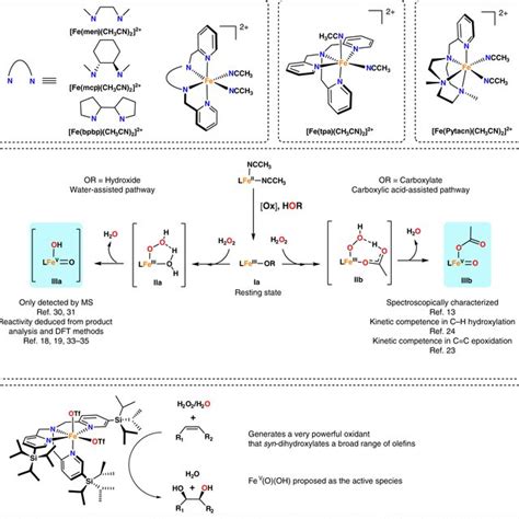 Two Mononuclear Iron Complexes With A Bidentate Coordination Mode Of