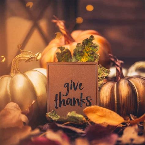 Thanksgiving Gratitudes By Zodiac Sign Astrology Answers