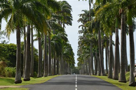 5 Bonnes Raisons De Choisir La Guadeloupe Pour Les Prochaines Vacances