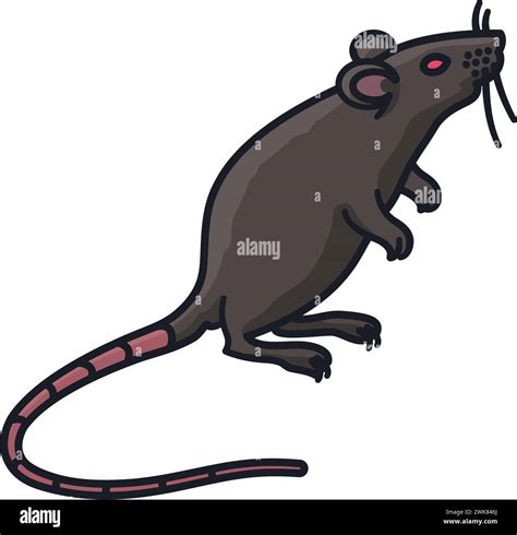 Rat Standing On Hind Legs Isolated Vector Illustration For Rat Day On