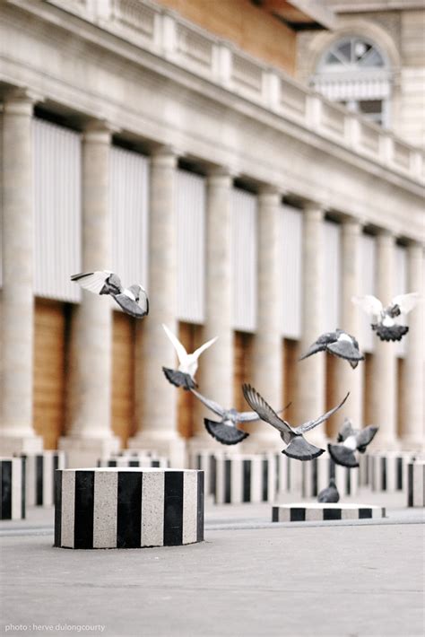 Daniel Buren Les Deux Plateaux 1 Pigeons Flight Flickr