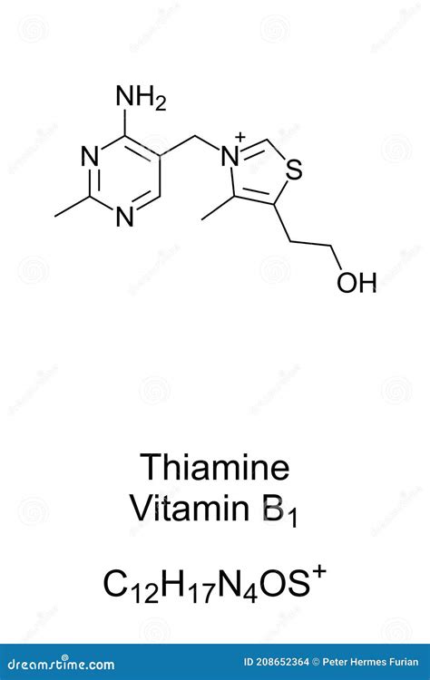 Thiamine Vitamin B Chemical Structure And Skeletal Formula Vector