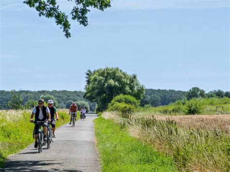 Steinhuder Meer Rundweg Steinhuder Meer Impressionen Galerie