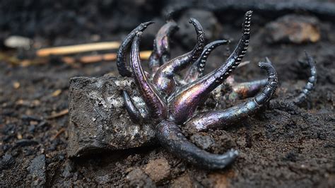 panama crater mystery archives weird darkness