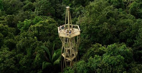 Panama Rainforest Adventure - Excelencia en viajes Panama