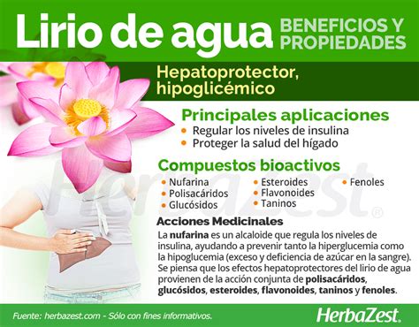 Lirio de agua | HerbaZest