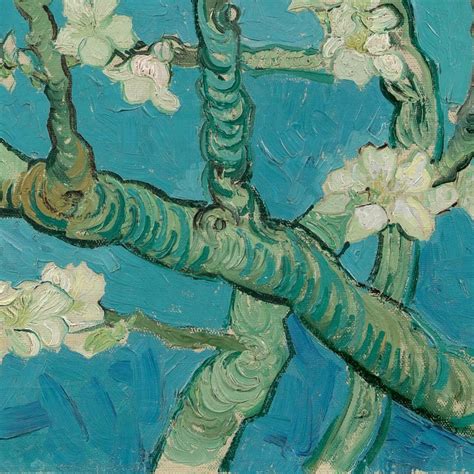 Almond Blossom Tree Van Gogh