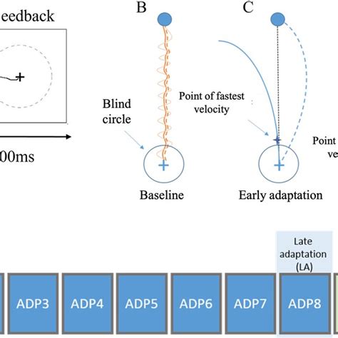 Performance In The Visuomotor Adaptation Task A Box Plots For The