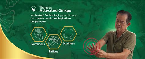 Activated Ginkgo Gingko Biloba Thomson Health Malaysia