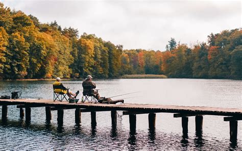 Free Images Nature Water Tree Sky Lake Bank River Autumn