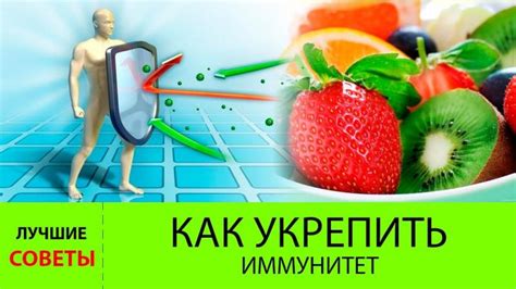 Топ 5 продуктов, которые укрепляют иммунитет – Алфейклуб