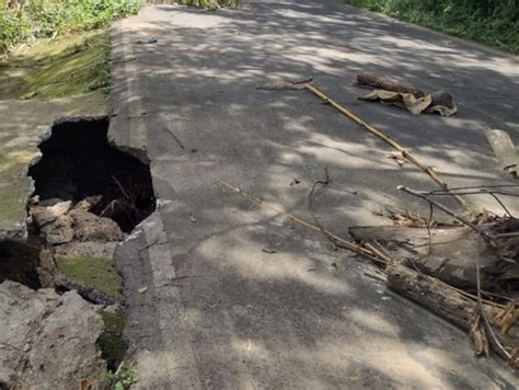 Temporada De Lluvias En Guatemala Deja Al Menos 15 Muertos Y Más De