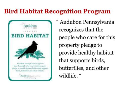 Ppt The Pennsylvania Audubon Society’s Bird Town Program Powerpoint Presentation Id 3798695