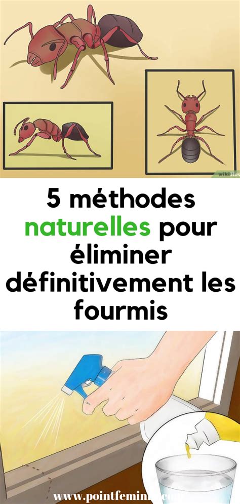 Produit Maison Pour Fourmis