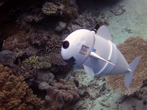 MIT's Robot Fish Can Blend in and Spy on Real Sea Creatures