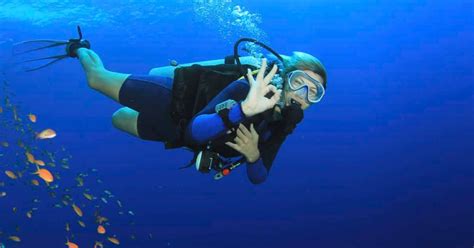 Maui Scuba Diving Packages - Maui Scuba Mike ~ Scuba Diving Specialist in Maui Hawaii