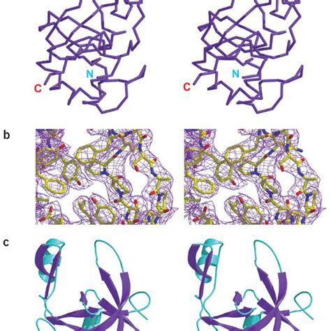 Crystal Structure Of Ago2 Paza Stereo Diagram Of The C Trace Of Download Scientific Diagram