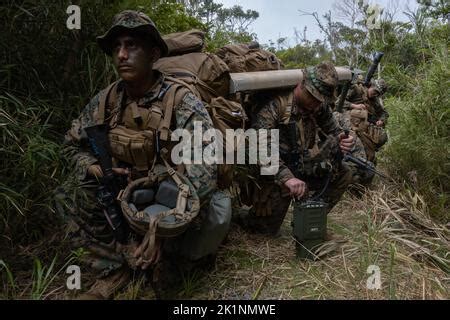 U S Marines Assigned To Maritime Surveillance Platoon Rd