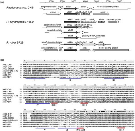 Figure From Functional Analysis Of Novel Alkb Genes Encoding Long