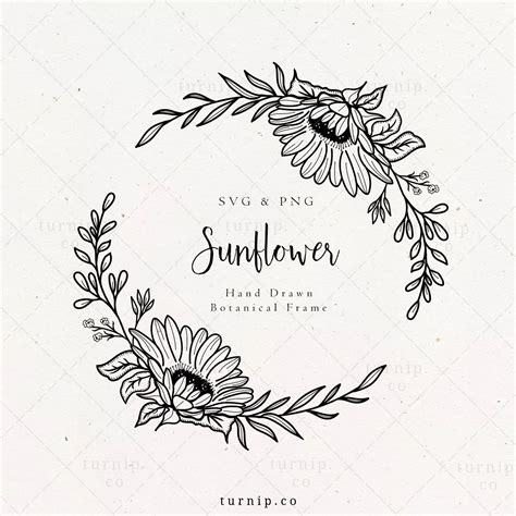 Sunflower Wreath Svg And Png Clipart Border Frame Half Floral Etsy