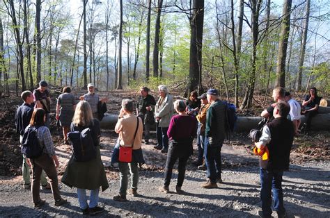 Naturnahe Waldbewirtschaftung Waldgang Mit Dr Lutz F Hser