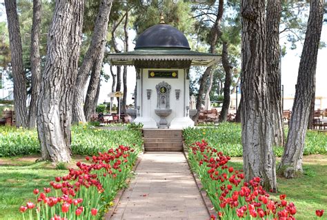 Kepez Belediyesi Kepez Kent Ormanı