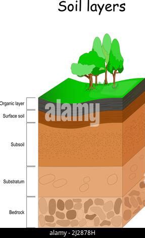 Soil Layers Diagram For Layer Of Soil Soil Scheme With Grass Dirt